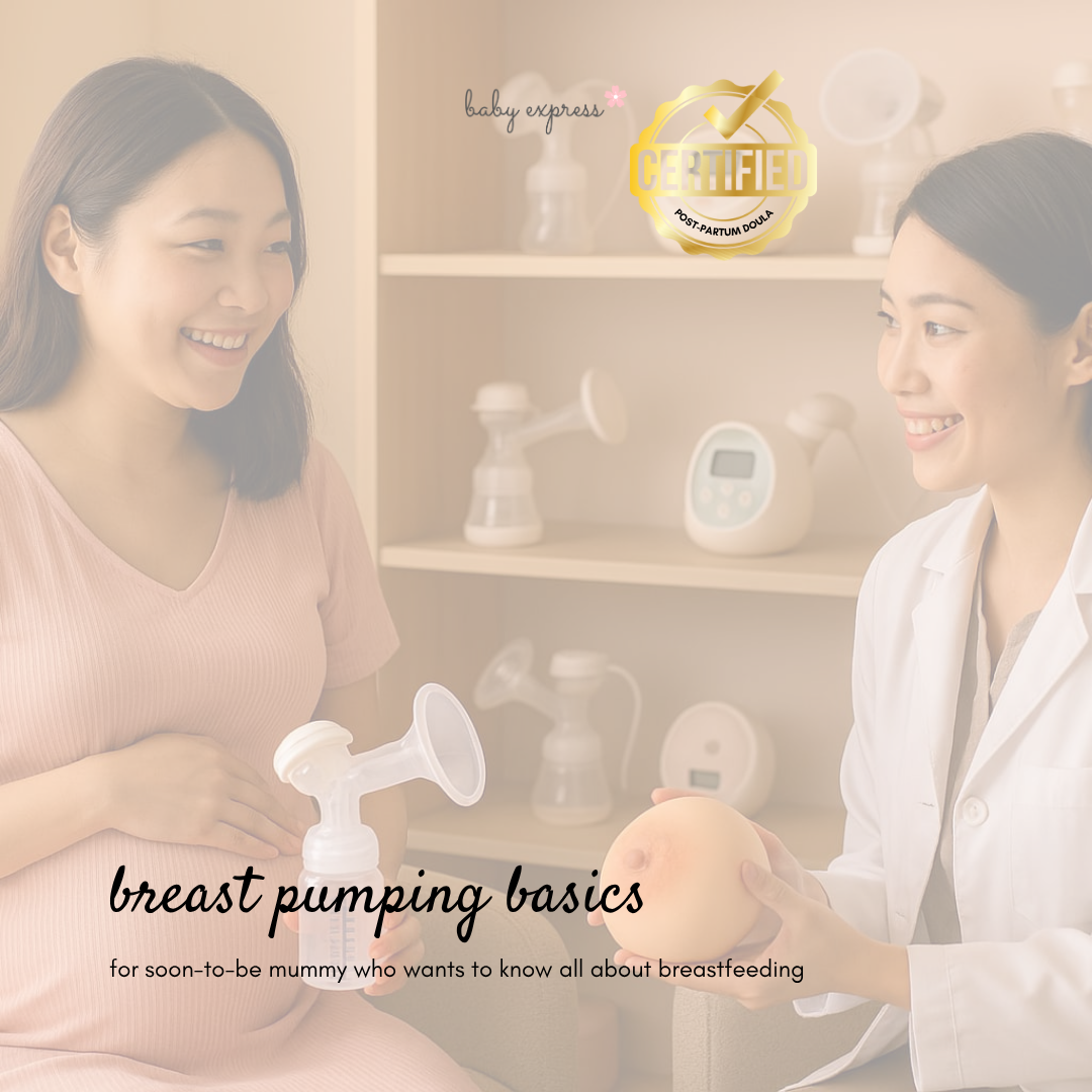 Breast Pumping Basics - Private Session