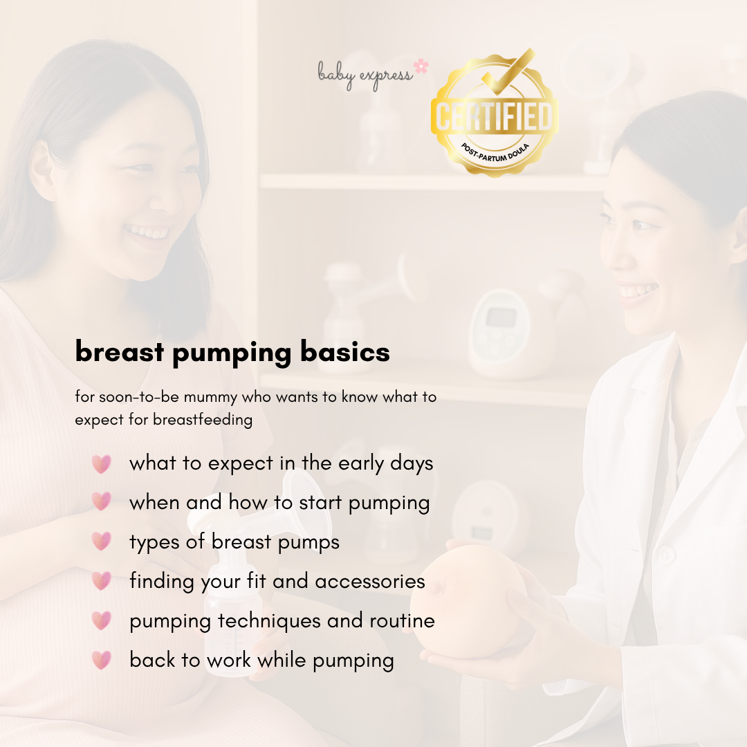 Breast Pumping Basics - Private Session