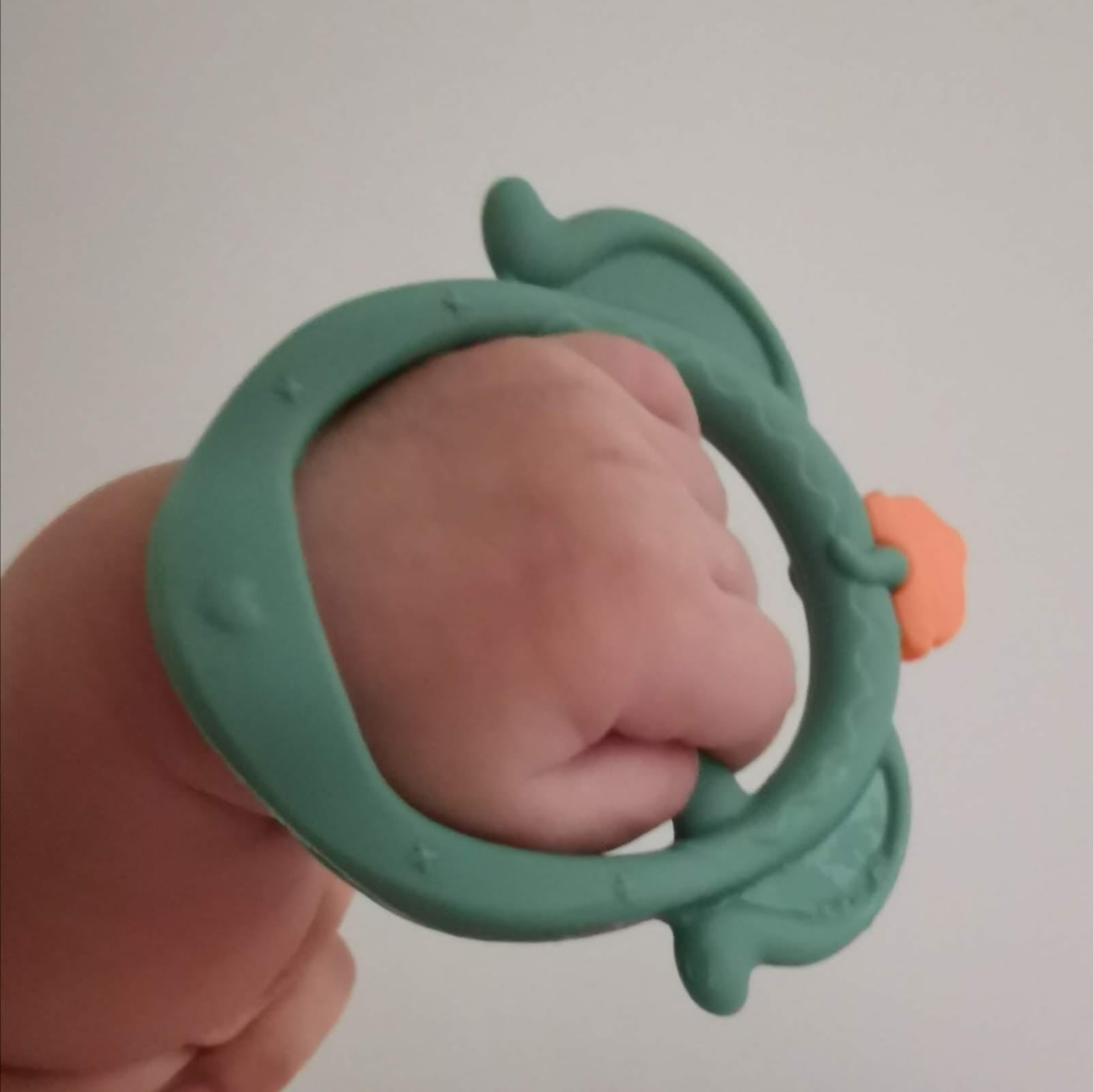 Grab Teether - Crabby