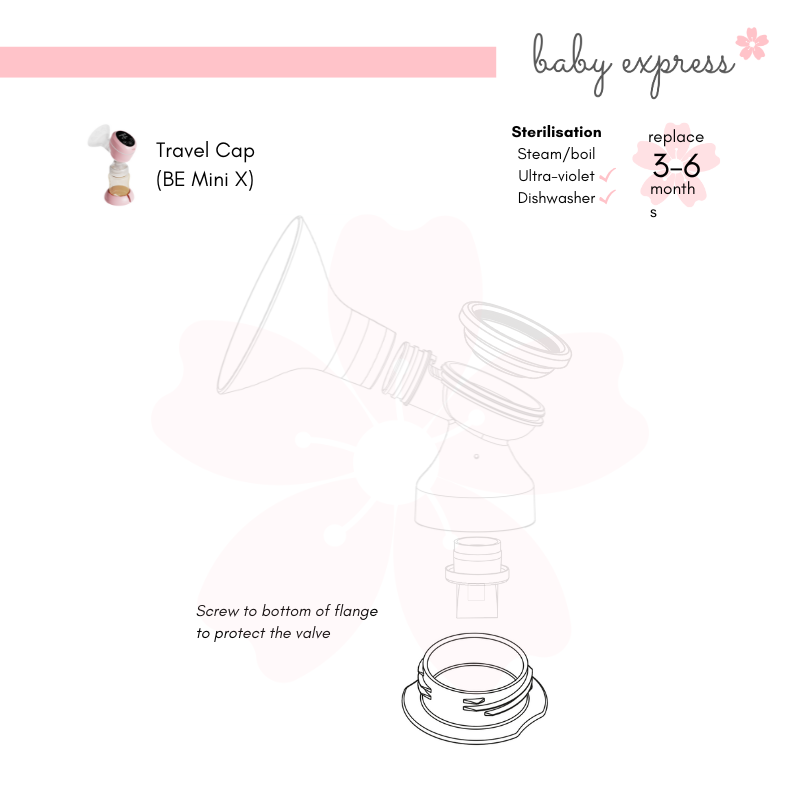 be mini x pump parts
